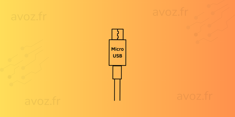 Câble Micro USB