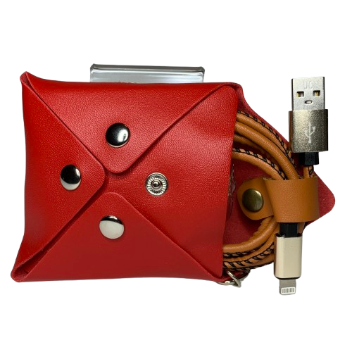 Câble Lightning aspect cuir avec pochette de rangement 1m