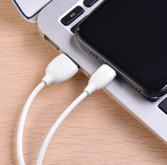Câble Lightning 2.4A borofone (BX19) blanc 1m