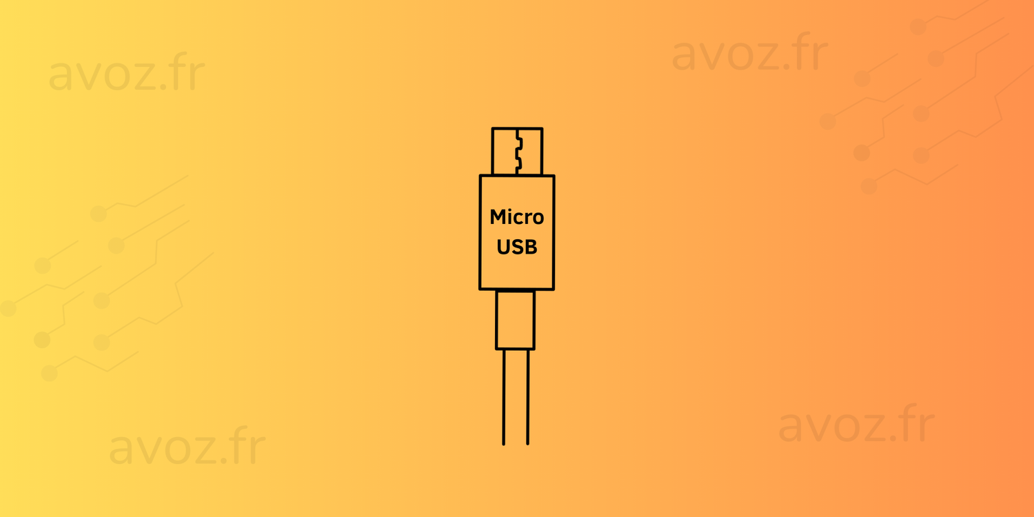 Câble Micro USB