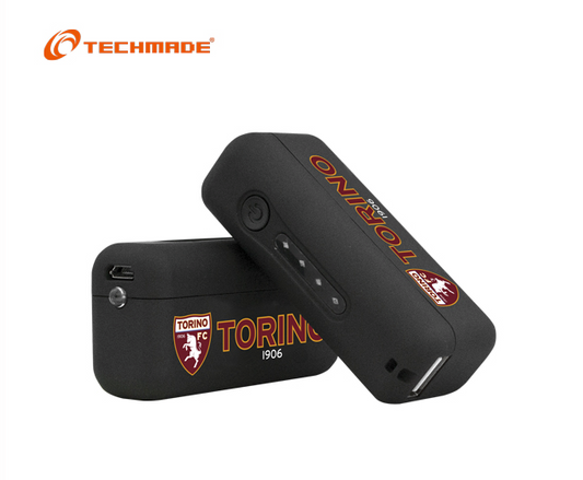 Batterie powerbank avec lampe LED intégrée 2600 mAh techmade noir